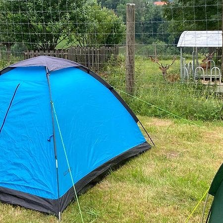 Camping F Selbstversorger Gut Jaegerhof Adults Only Semriach Buitenkant foto